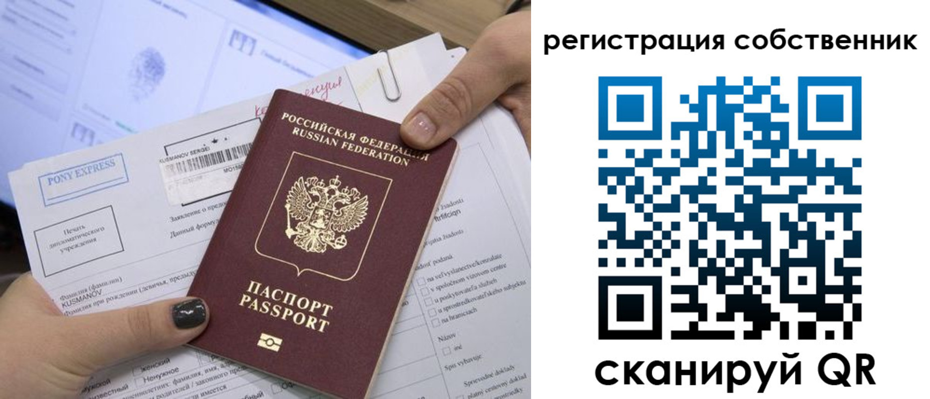 прописка поиск в Ельне